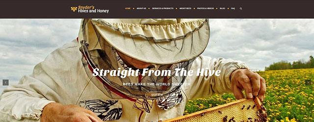 N-Sync Launches www.SnydersHivesAndHoney.com